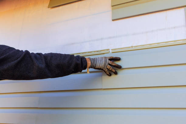 Best Historical Building Siding Restoration  in Waverly, MI